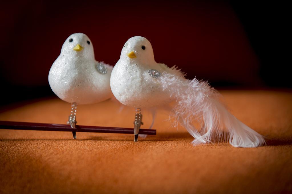 Two White Pigeons * Ieper